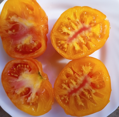 Томат Жёлто розовый жемчуг (Pearl's Yellow Pink, США)