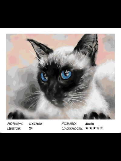 Картина по номерам 40х50 на подрамнике GX27452