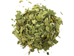 Калея Закатечичи