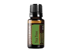 TEA TREE ESSENTIAL OIL 15 мл