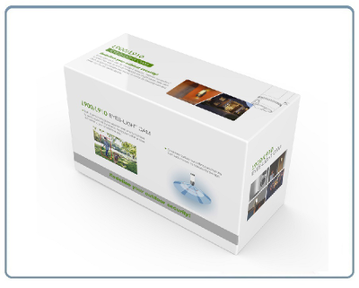 Уличная WiFi охранная видеокамера + фонарь с аудио каналом (дуплекс) , с DVR. Full HD (CAMB)