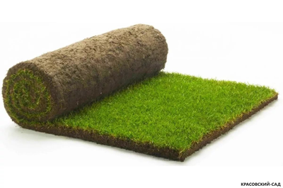 Рулонный газон Промышленный