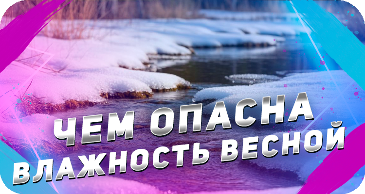 Как бороться с влажностью в весенний сезон