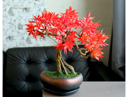 Бонсай "Осенний клен" , ручная работа из полимерной глины