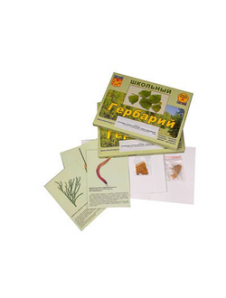 Гербарий "Основные группы растений. Грибы. Лишайники" (53 листа, с иллюстрациями и фотографиями)