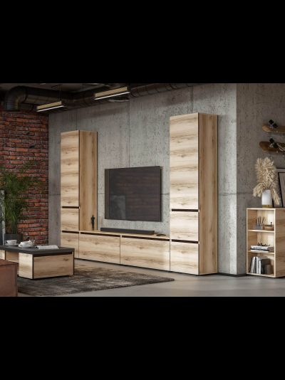 Берген тумба ТВ Дуб делано/Венге