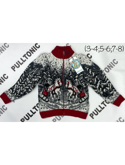 Детский свитер на молнии Кони 02