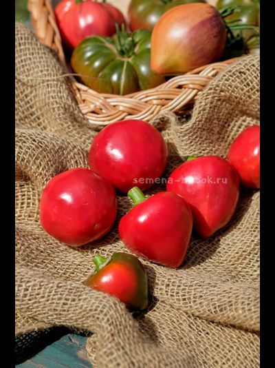 Перец сладкий Маусики, 10 шт