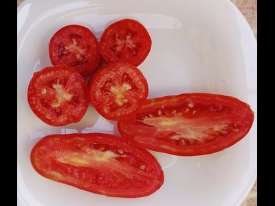 Томат Джалпа