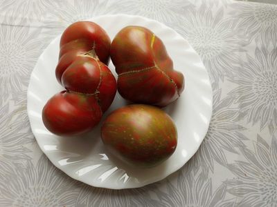 Томат Беркли Тай дай хаат (Berkeley Tie Dye Heart , USA)