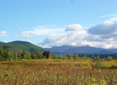 музей Природного парка