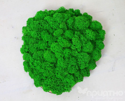 ЖИВАЯ ЭКО-КАРТИНА 1040