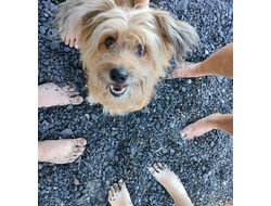 Прогулка на катере «Шунгитовый пляж»