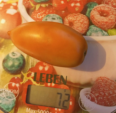 Томат Бронза (Bronza)