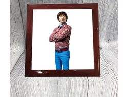 Шкатулка Теория большого взрыва, The Big Bang Theory №5