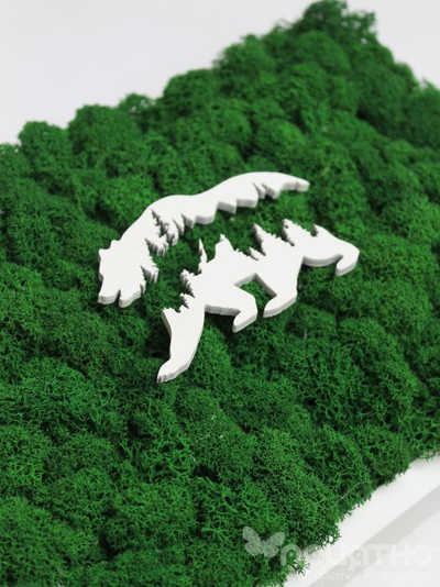 ЖИВАЯ ЭКО-КАРТИНА 1038