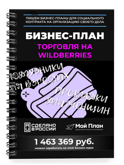 Бизнес-план для социального контракта в 2022 г. Ниша: Торговля на Wildberries. Товар: Прокладки; Под