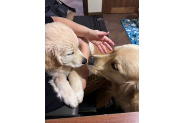 РЗ Юверт в новом доме со старшим братом. Теперь будут жить вместе