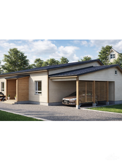 odnoetazhnie-doma-iz-profilirovannogo-drusa-kreiser