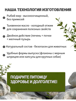 Кормовая добавка для собак с лососевым жиром и льняным маслом DOBROPET-31, 60 капсул