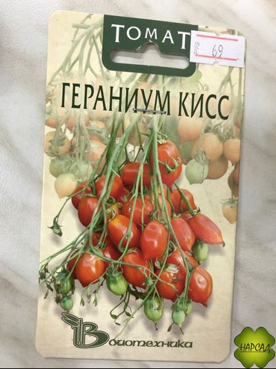 Томат "Гераниум кисс" (80 см, десертного вкуса и отличные для консервирования)