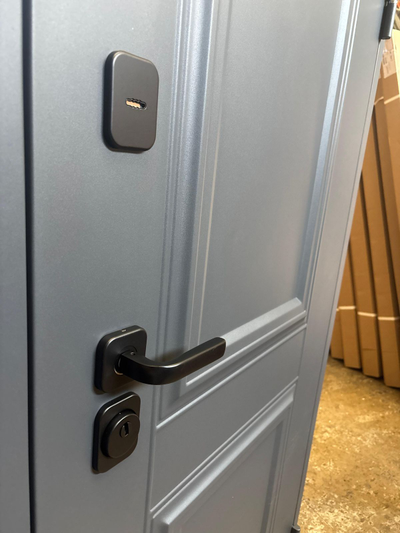 Входная Дверь Трамп Штамп 4.1