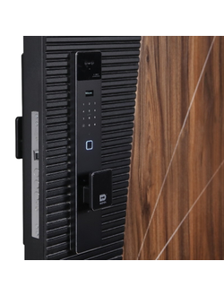 Стальная дверь   Сапсан с зеркалом (биометрический замок Smart lock К06)