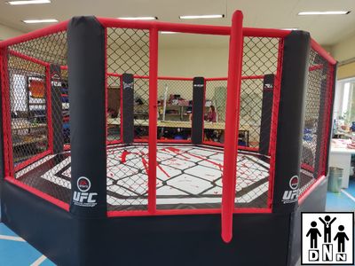 Восьмиугольный ринг (Октагон) на помосте (диаметр 8 м, высота помоста 1 м) DNN