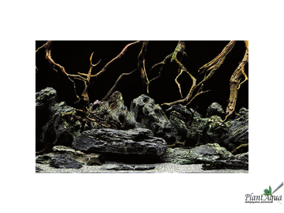 Фон-пленка двухсторонняя Sea Scape/Natural Mystic 60 см (цена за метр)