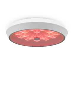 Freya, Потолочный светильник Cells, FR10012CL-L24W