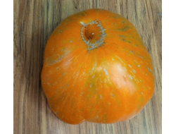 Томат Kozula 179 (Zebra Zolta /Volta , Польша)