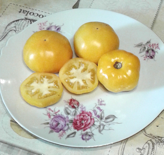 Семена томата Аксанта