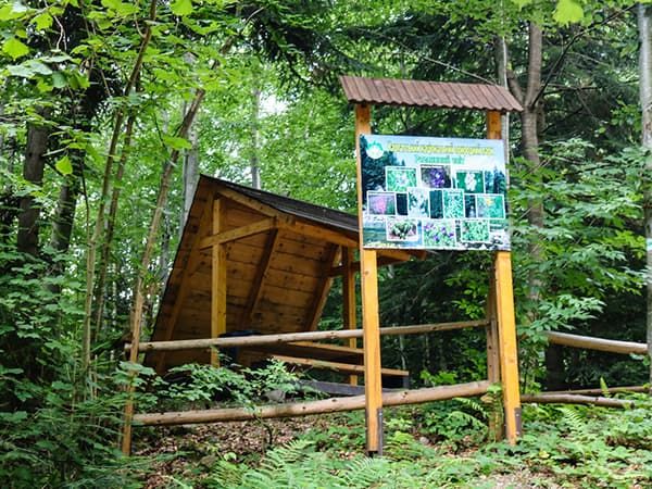 відпочинковий майданчик, бесідка