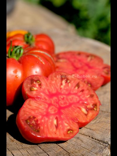 Томат Ярсон 22 (Jarson 22), 10 шт