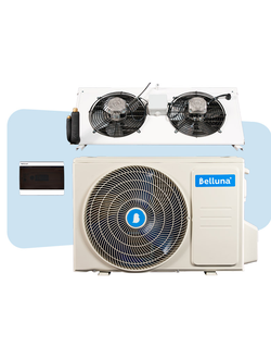 BELLUNA FROST P103-P322/U103-U316/P310M/P313M