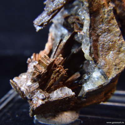 Гипс и псиломелан в полости ракушки. 56*44*35мм