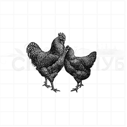 Винтажный штамп петух и курица пеструшка