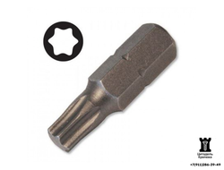 Бита Torx 10 - 25 мм