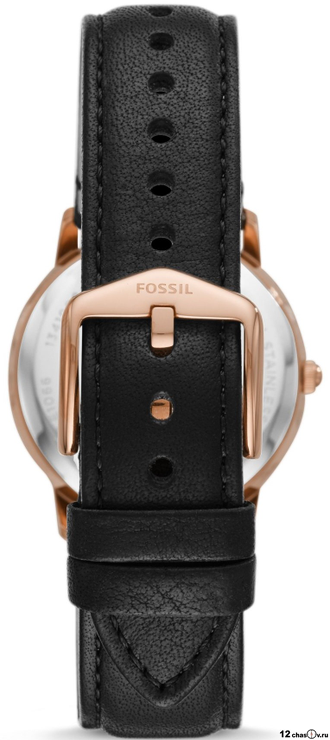 Наручные часы Fossil LE1066