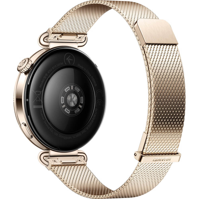 Huawei Watch GT 6 41mm (55020FVW) Золотой