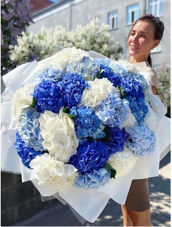 Микс из 31 гортензии