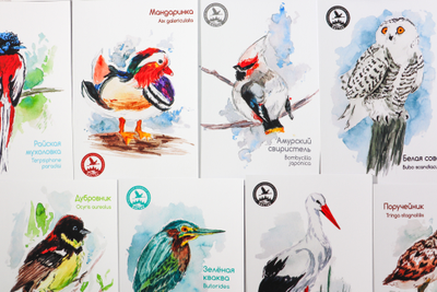 Набор почтовых открыток «Птицы заповедника «Бастак»          (12 шт.)
