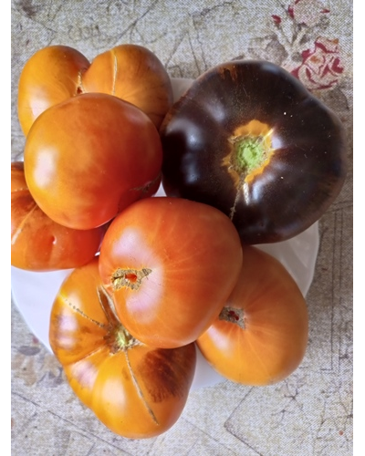 Томат Чупа-чупс (Chupa-Chups)