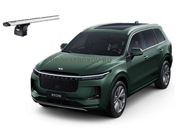 Дуги THULE для LiXiang One