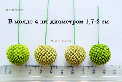 Силиконовый молд "Краспедия "