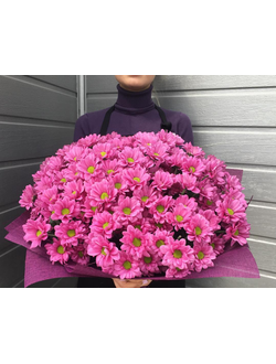 Букет из 25 кустовых хризантем