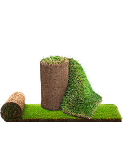 РУЛОННЫЙ ГАЗОН