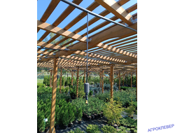 Подвес с микродождевателем / фоггером (6мм Н), с клапаном "антикапля", 50 см (черный) 22,8-33,9 л/ч