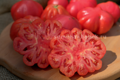 Томат Etoile (Этуаль), 10 шт