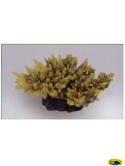 MA116PUY Коралл пластиковый желто-коричневый 14*11*6,5см